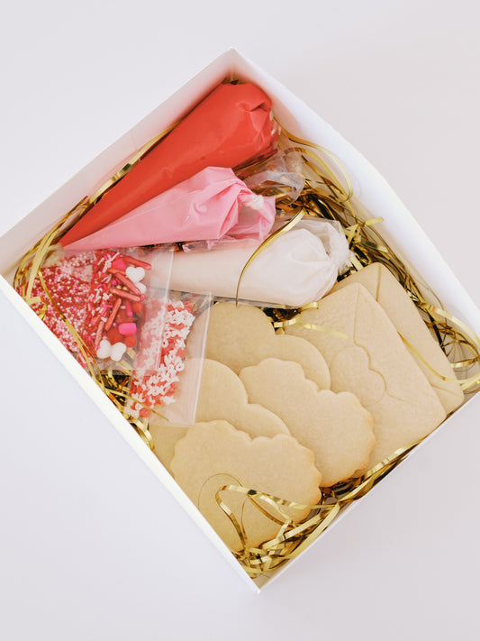 Valentine's Day Cookie Decorating Kit